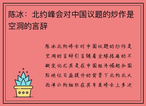 陈冰：北约峰会对中国议题的炒作是空洞的言辞