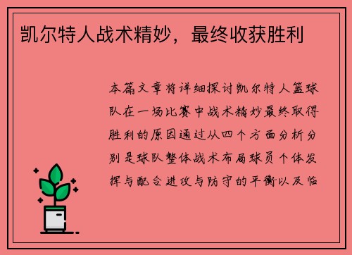 凯尔特人战术精妙，最终收获胜利